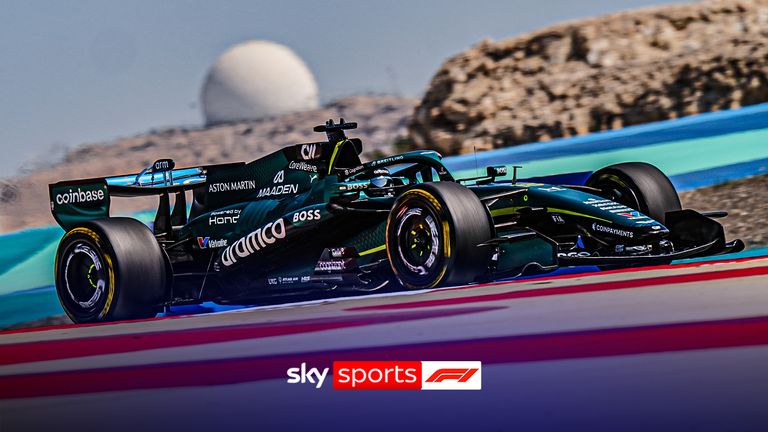 Lance Stroll and Fernando Alonso react to Adrian Newey's fears that the vibrations issues from the Aston Martin could cause 'nerve damage'.