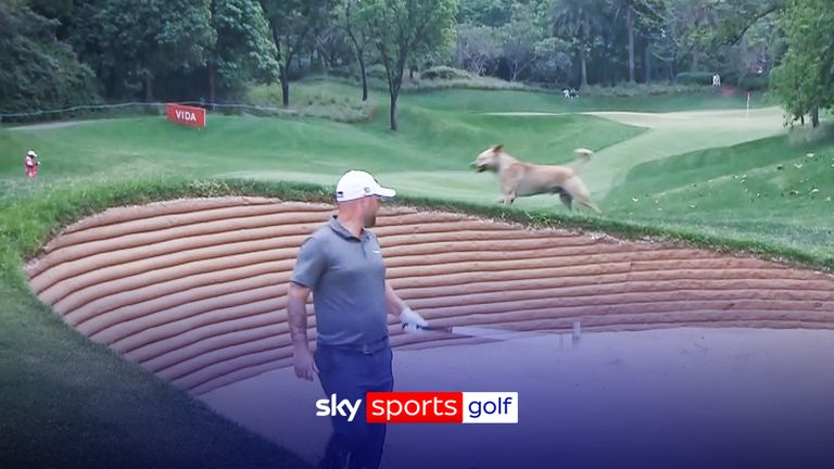 'Dog on his line' | An unlikely intruder interrupts Sullivan at Hero Indian Open