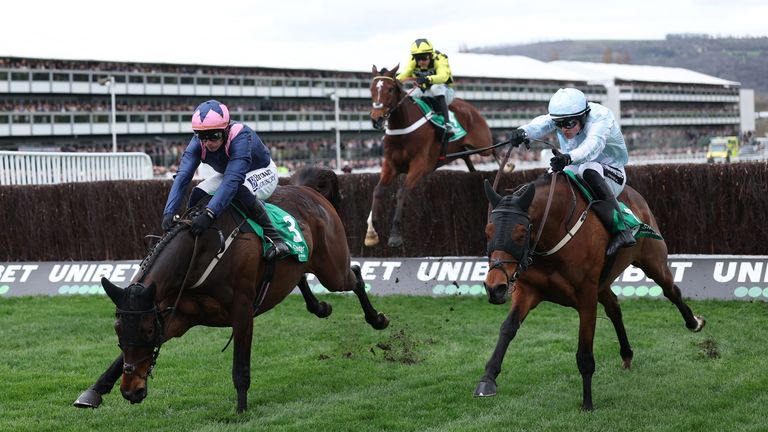 Kopec des Bordes' mistake cost him his life as he stumbled while landing on the final fence in Arkle.