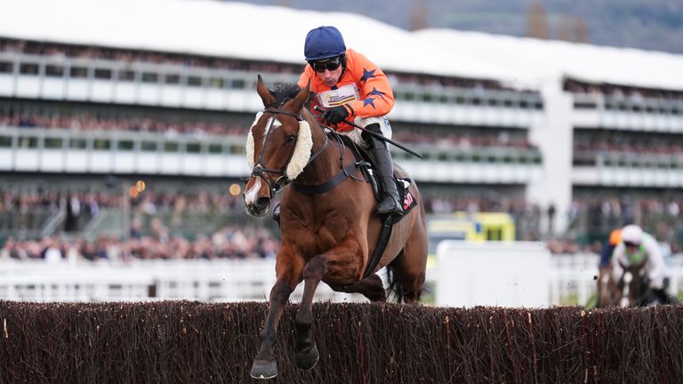 Madara jumps clear to win the Plate at Cheltenham on day one of the Festival