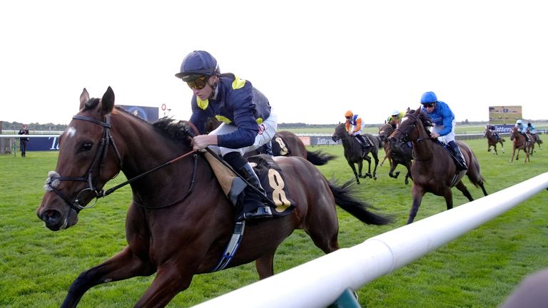 Mubasimah kiinnostaa Jamie Lynchiä