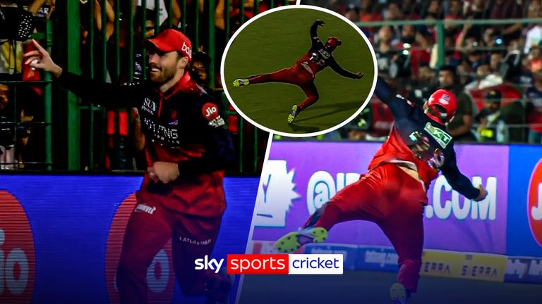 IPL: Phil Salt dives for a sensational catch in the IPL for Royal Challengers Bengaluru