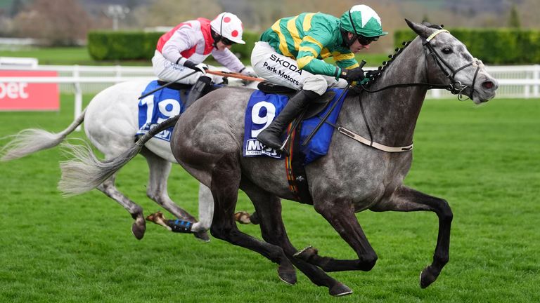 Saratoga, ridden by Mark Walsh, on their way to winning the McCoy Contractors Juvenile Handicap Hurdle at Cheltenham