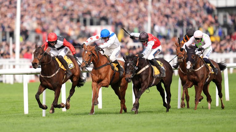 Racing round-up: Nicol considers Flat route for Triumph third Minella Study