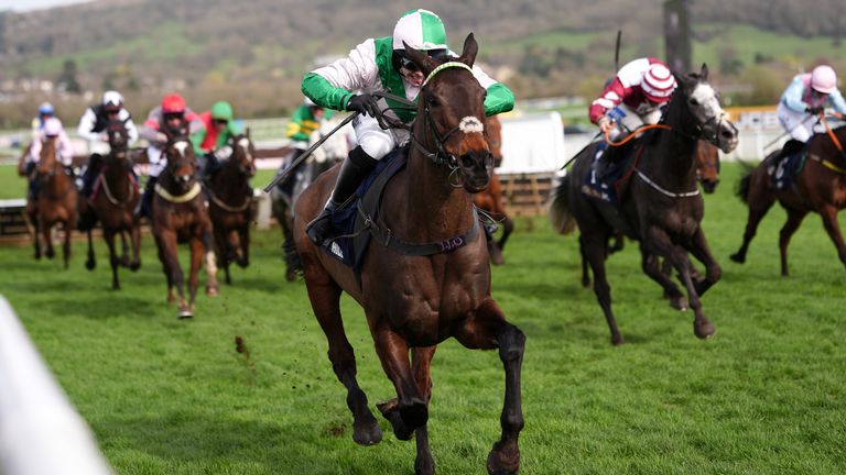 Wilful, ridden by Jonjo O'Neill Jr, on the way to winning the the William Hill County Handicap Hurdle at Cheltenham