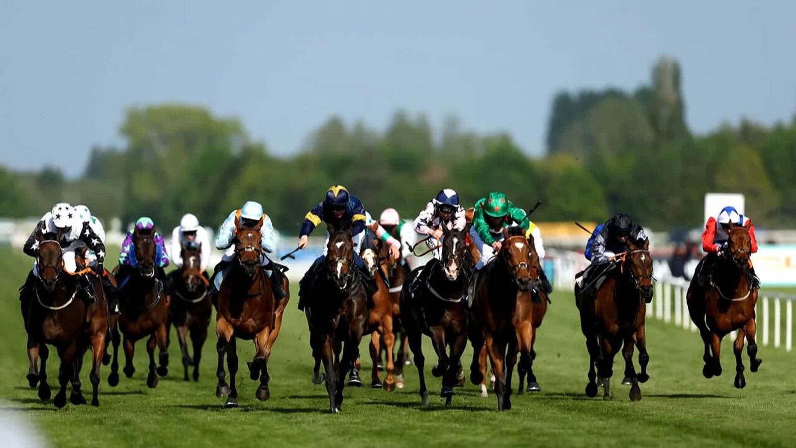 Flat horses to follow in 2026: Sky Sports Racing team tips