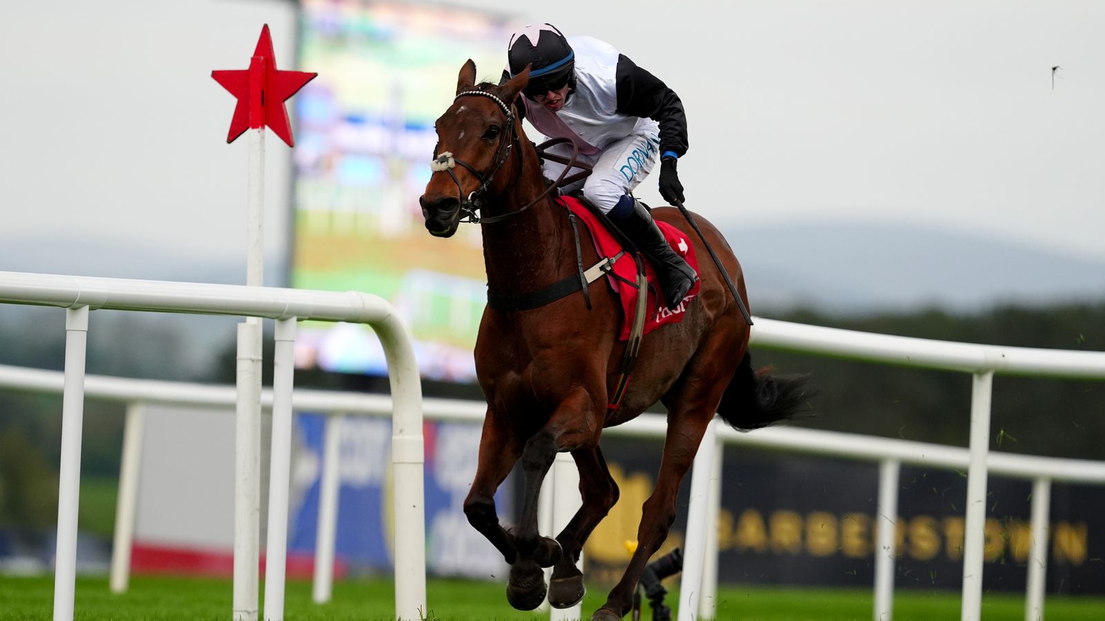 Bob Olinger bows out with Punchestown triumph as he wins Champion Stayers Hurdle with Teahupoo third