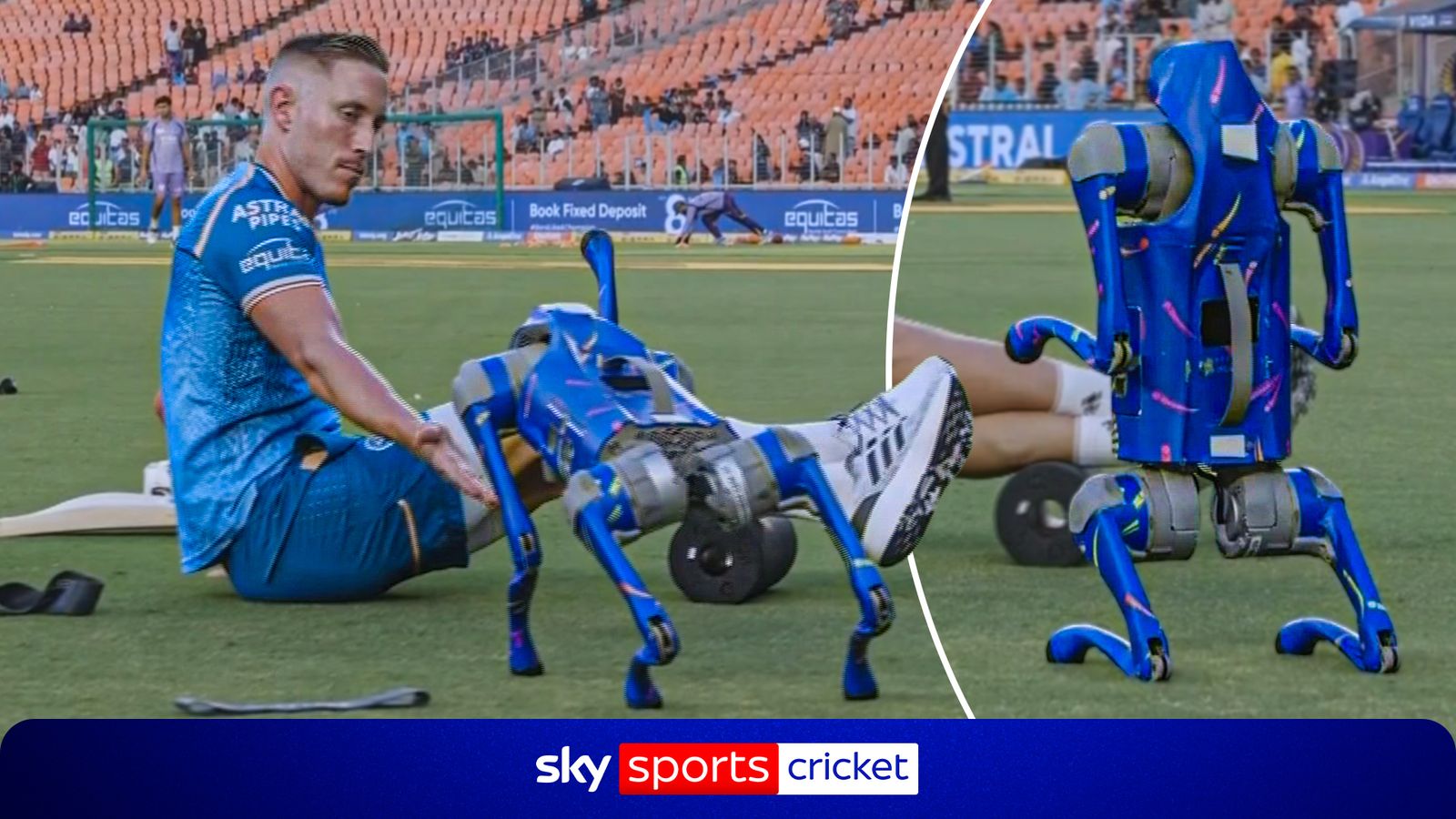 When technology meets cricket |  Meet the IPL’s robot dog!