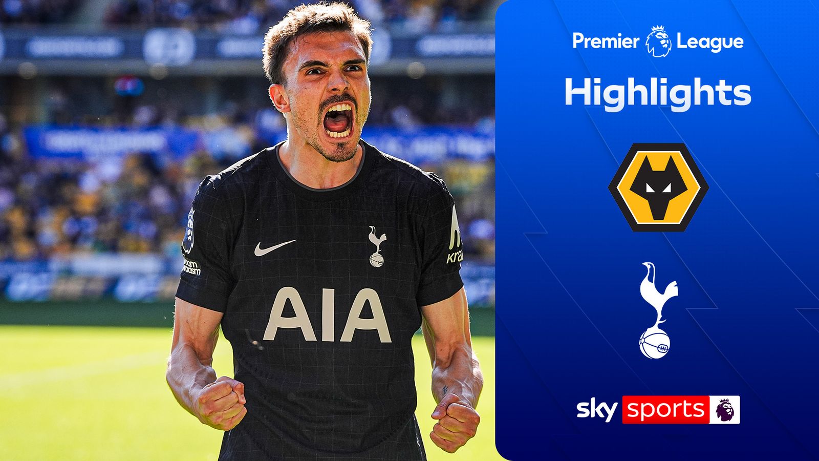 Wolves 0-1 Tottenham Hotspur | Premier League highlights