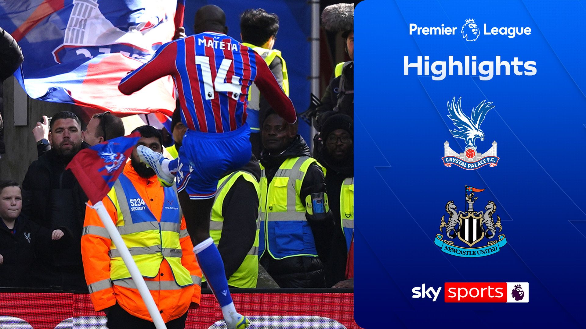 Crystal Palace 2-1 Newcastle United | Premier League highlights