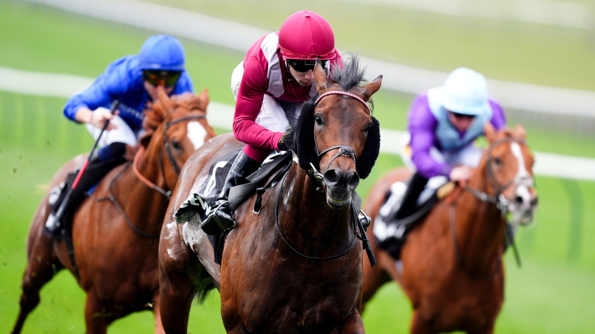 En repræsentativ billede af sportsbegivenheder tilgængelige for betting på Stake.dk