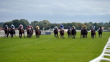 Today's racing comes from Ripon