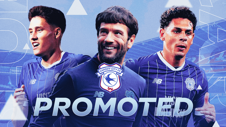 Cardiff City have won promotion to the Championship
