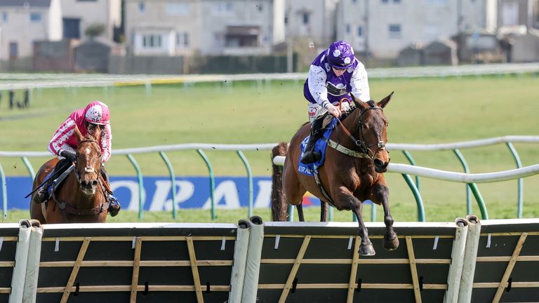 Racing round-up: Dedicated Hero storms to Scottish Champion Hurdle victory