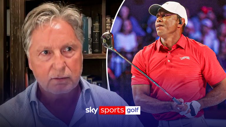 chamblee on tiger wodos