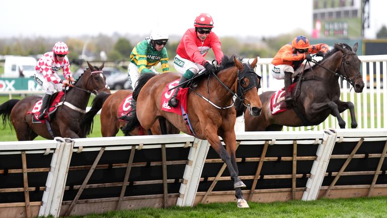Home By The Lee (centre) won the Liverpool Hurdle