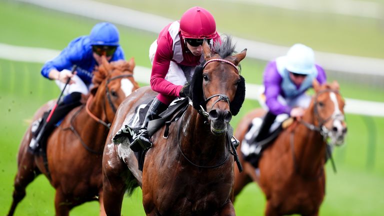 Oxagon won the Craven Stakes