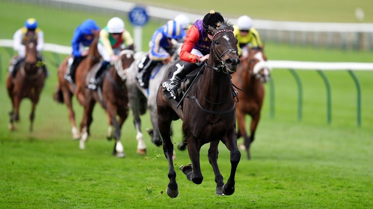 Portcullis romped to victory at Newmarket