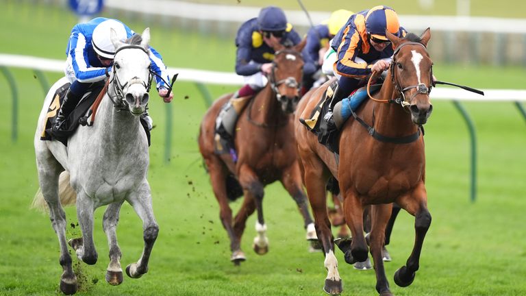 Azleet defeated America Queen (left) by a neck