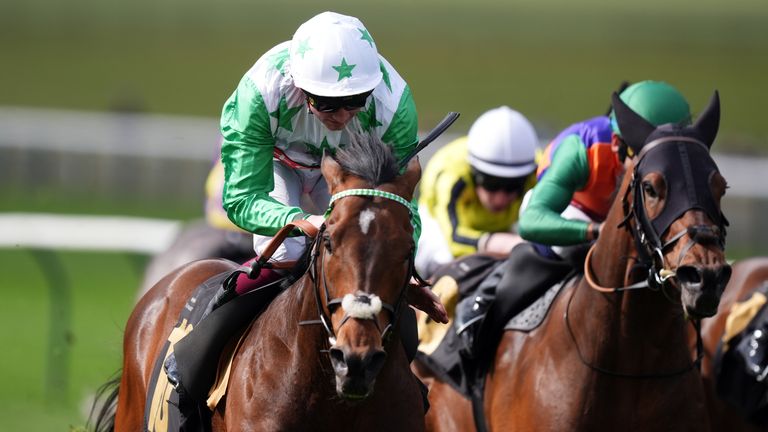 Run To Freedom won the Abernant Stakes