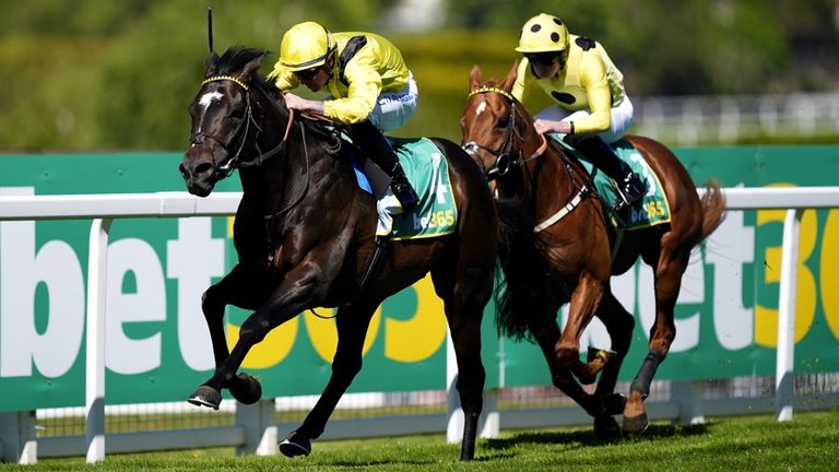 Saddadd (left) clinched top honours under Ray Dawson