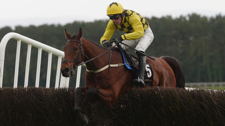 Salvator Mundi ridden by Harry Cobden on their way to winning the Novice Chase on day three of the Punchestown Festival