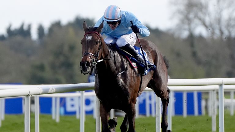 Soldier In Milan won the Irish Grand National