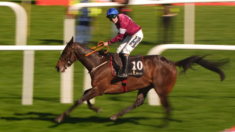 Com Nolimit pilotado por Joshua Michael Halford a caminho da vitória em Punchestown 