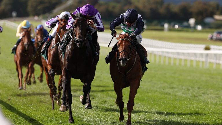 Newbury tips: Zavateri fancied to strike in Greenham Stakes on Saturday