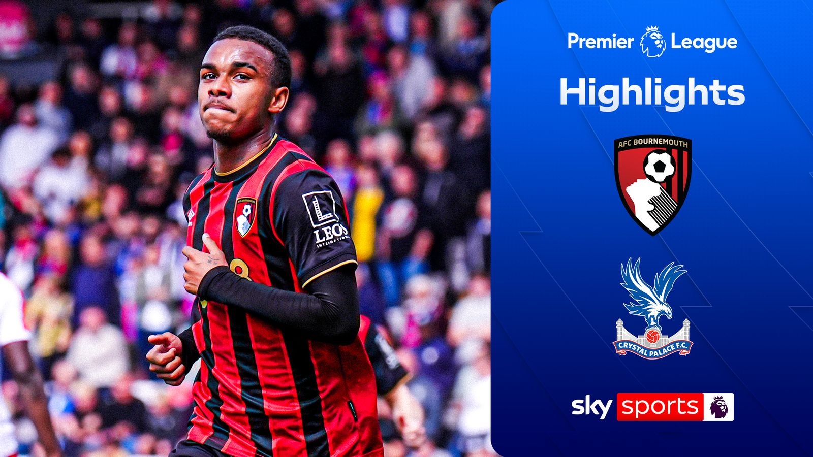 Bournemouth 3-0 Crystal Palace | Premier League highlights