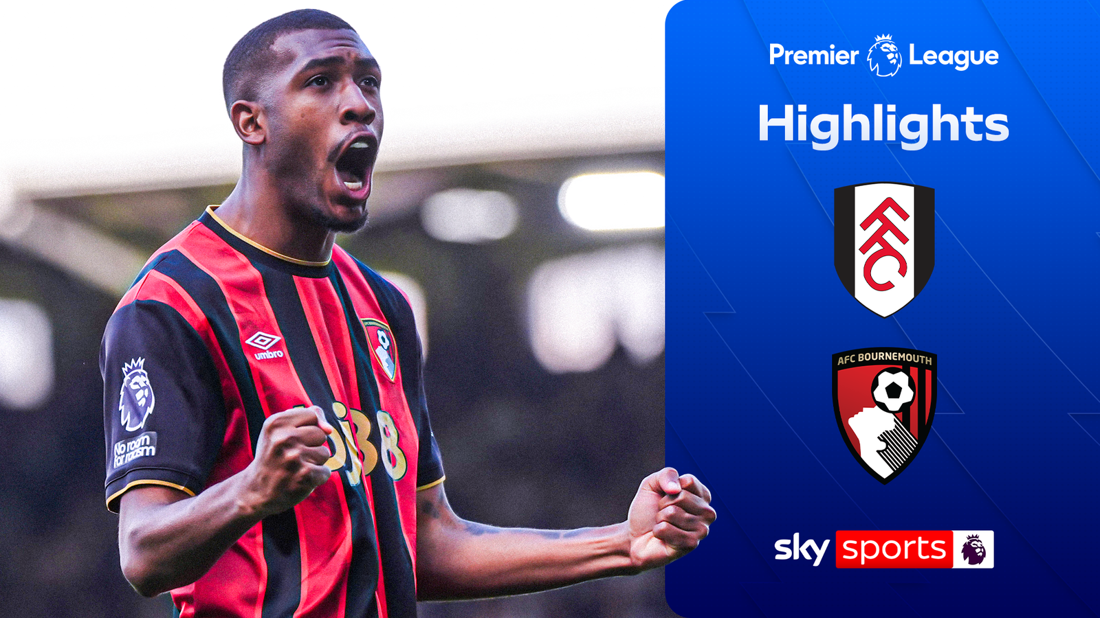 Fulham 0-1 Bournemouth | Premier League highlights