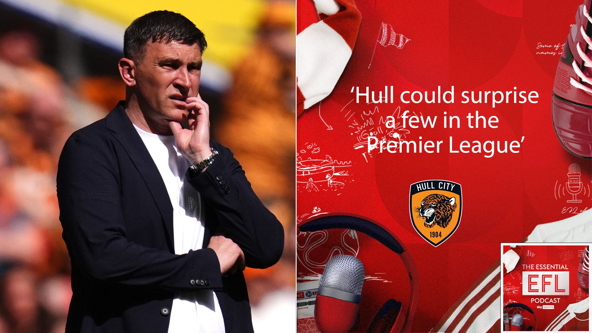 'Hull could surprise a few in the Premier League'