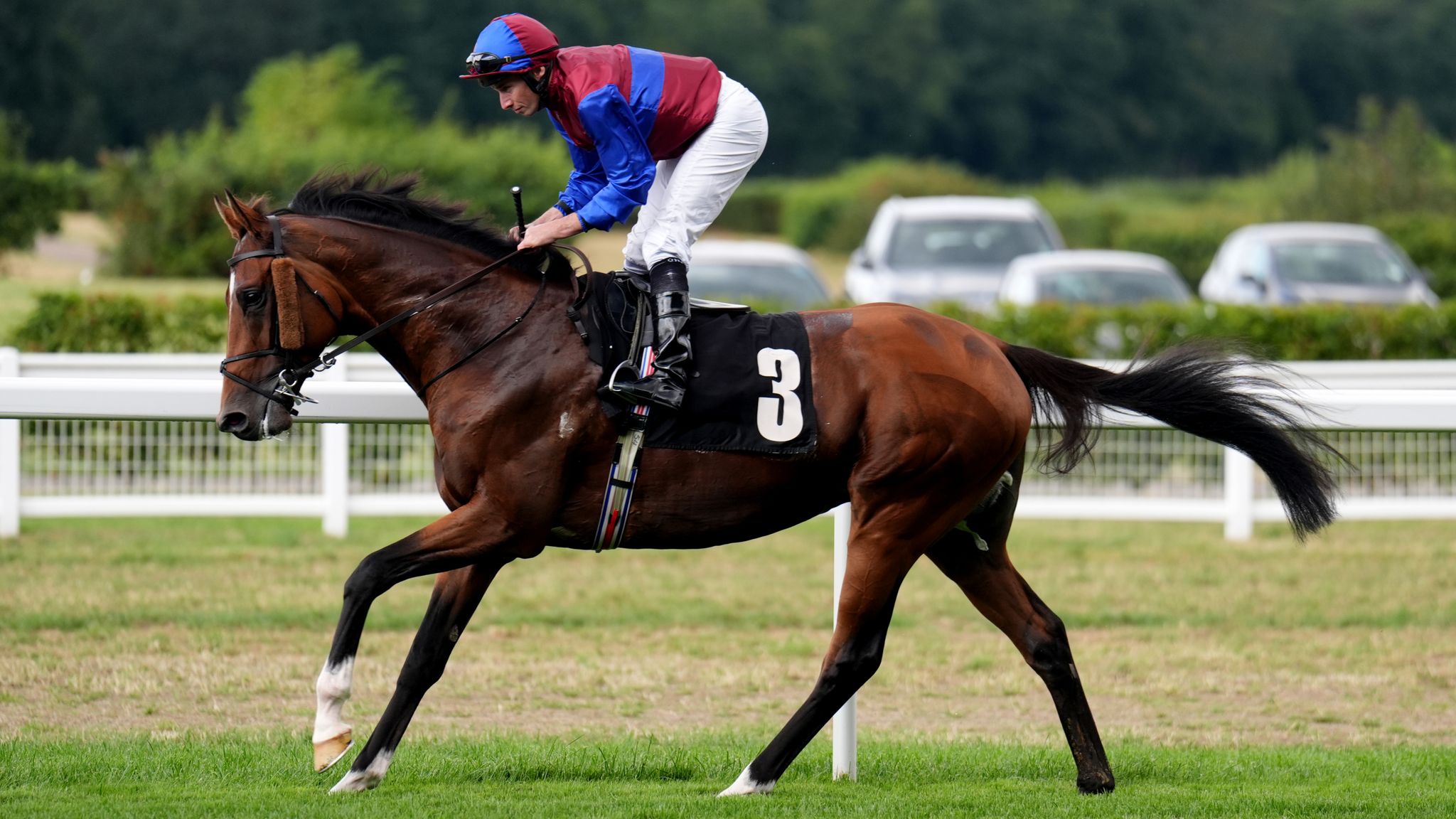 Today on Sky Sports Racing: Jan Brueghel and Illinois clash in Ormonde ...