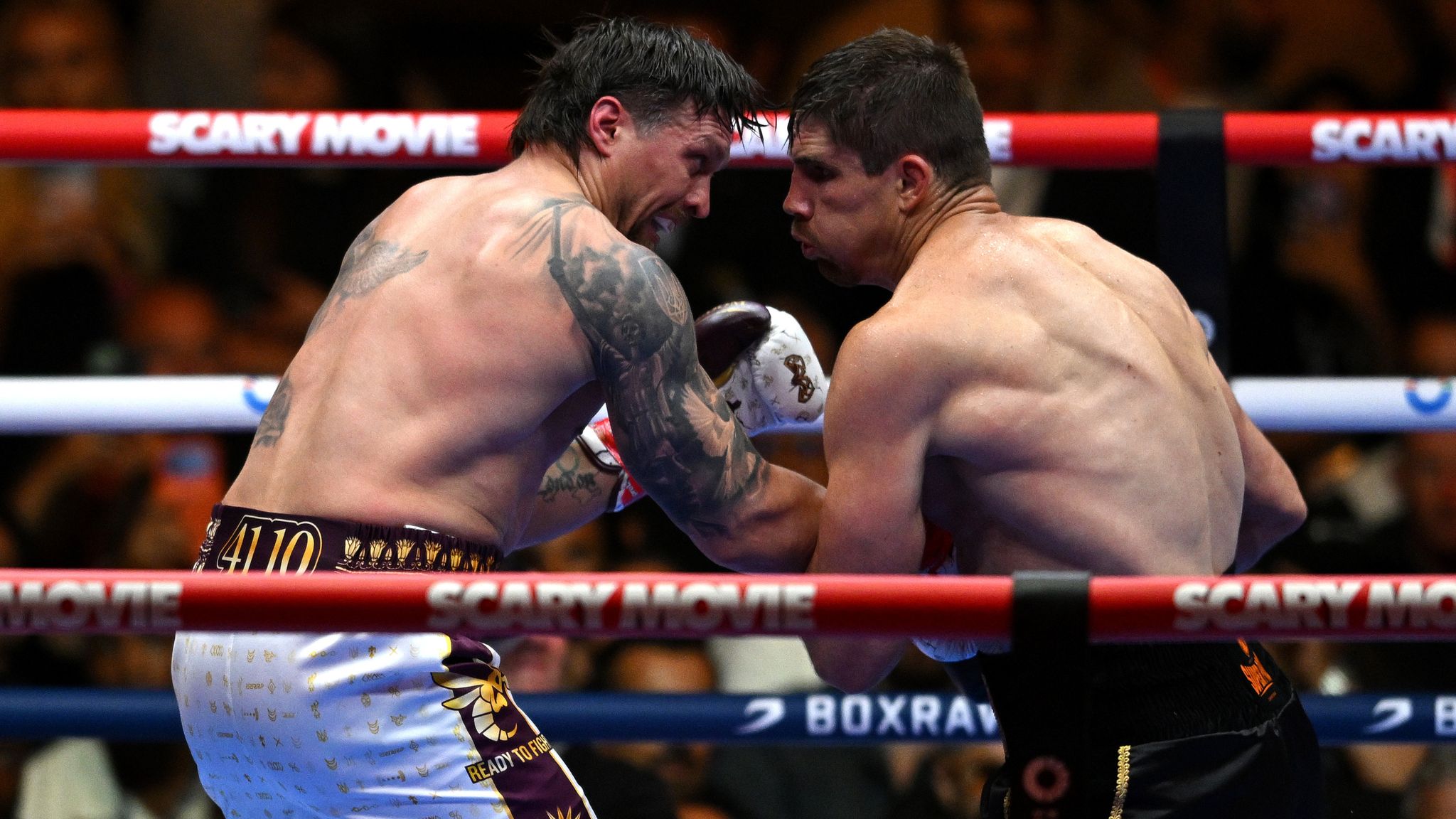 All Verdict Boxing Fights