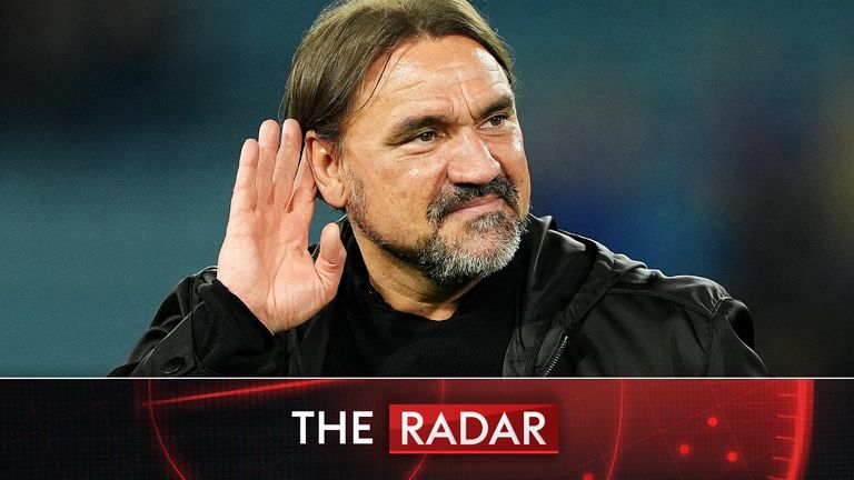 Daniel Farke's Leeds sit eight points clear of the drop zone ahead of the penultimate round of games