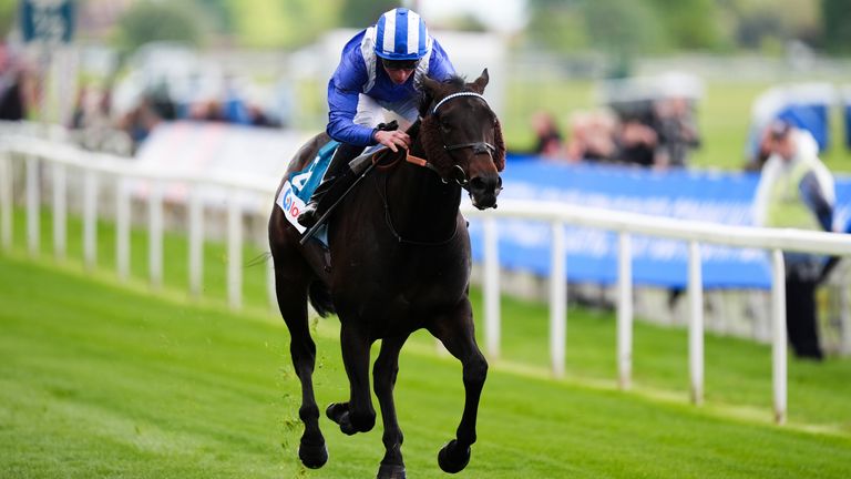 Elmonjed struck for William Haggas at York