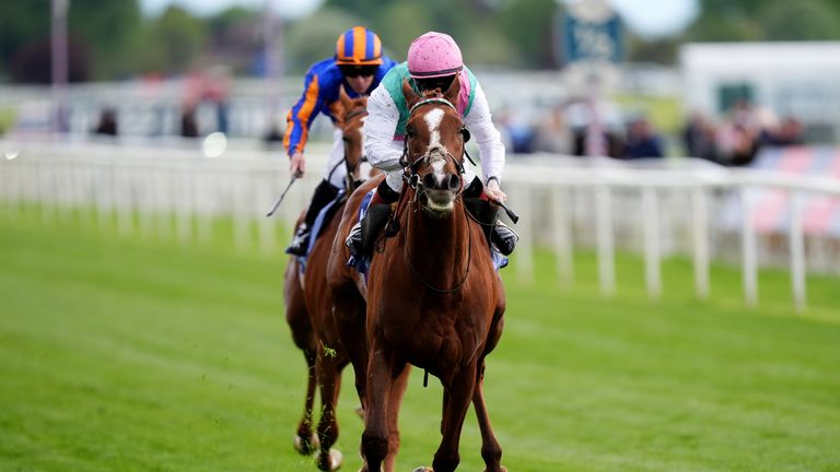 Racing round-up: Item firmly on the agenda for Derby challenge