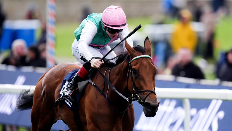 Legacy Link books Oaks ticket with York success
