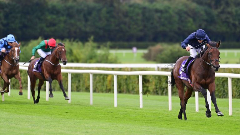 Montreal lines up in this weekend's French Derby (Healy Racing)