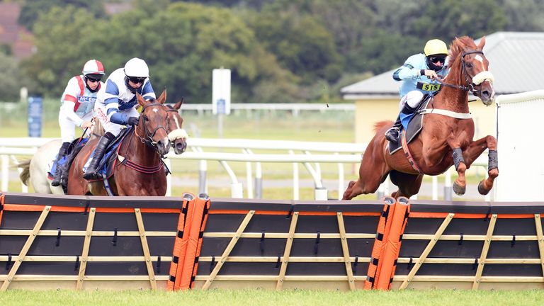 Newton Abbot hosts action over jumps