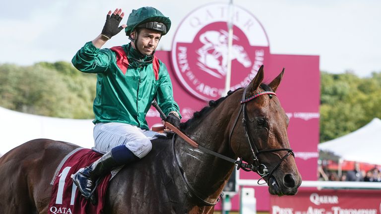 Daryz (Photo: Debbie Burt/Racingfotos.)