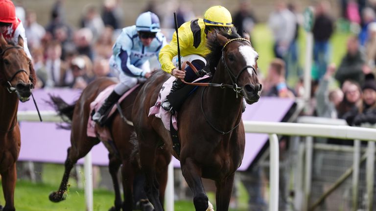 Rahiebb ridden by Ray Dawson coming home to win the Boodles Yorkshire Cup Stakes 