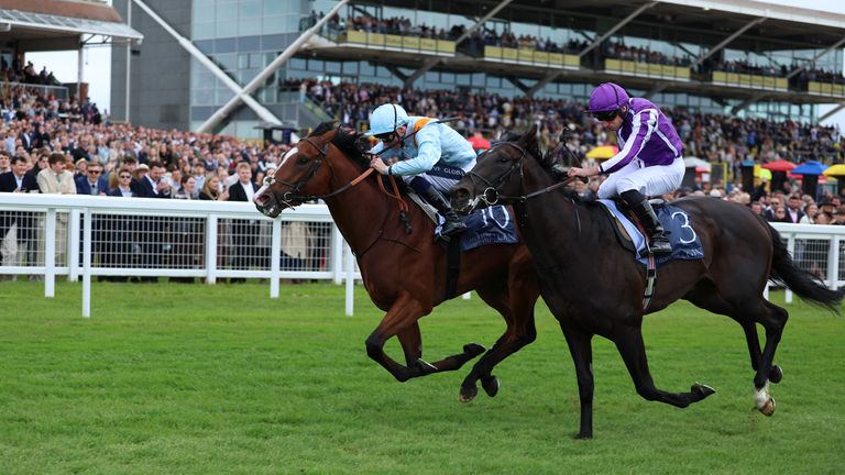 Song Of The Clyde (left) defeated Albert Einstein