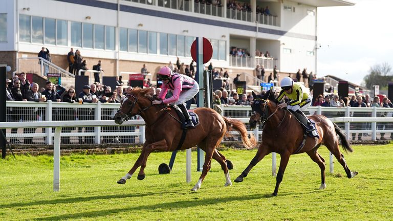 Windsor plays host to today's live racing