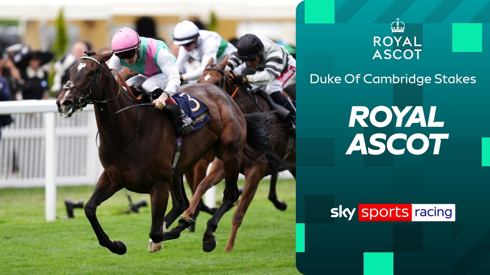Brilliant Blue Bolt lights up Duke Of Cambridge Stakes