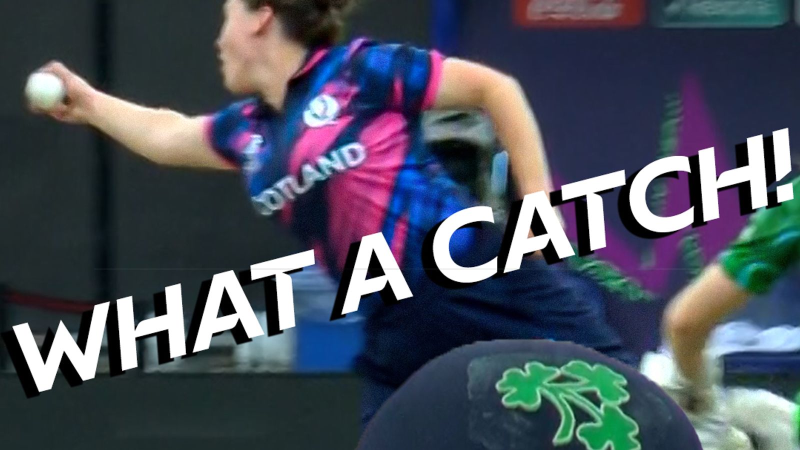 https://e0.365dm.com/26/06/1600x900/skysports-cricket-world-cup_7272331.jpg?20260613123835