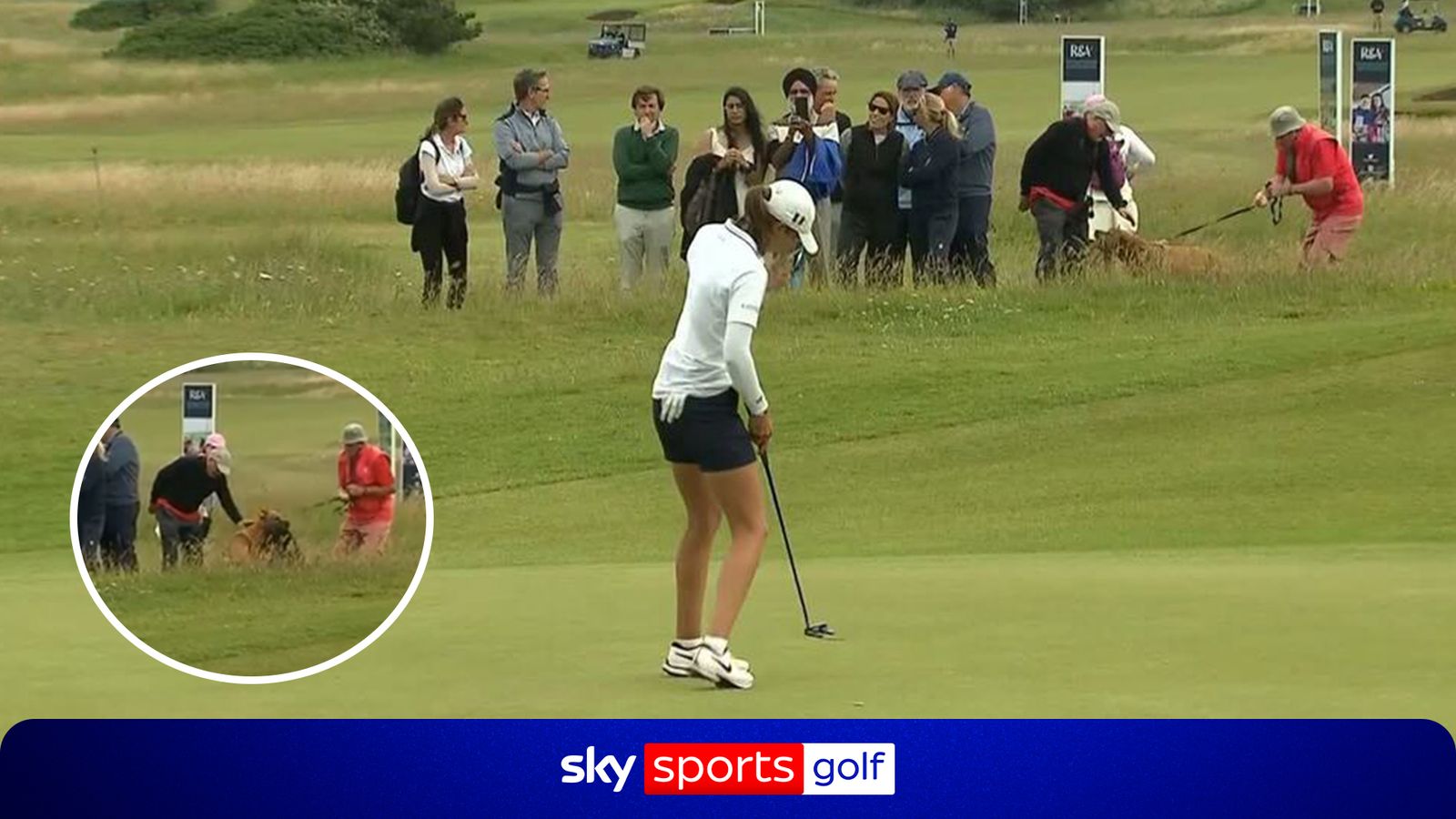 R&A Women's Amateur Championship: Dogs steal the show at the golf!