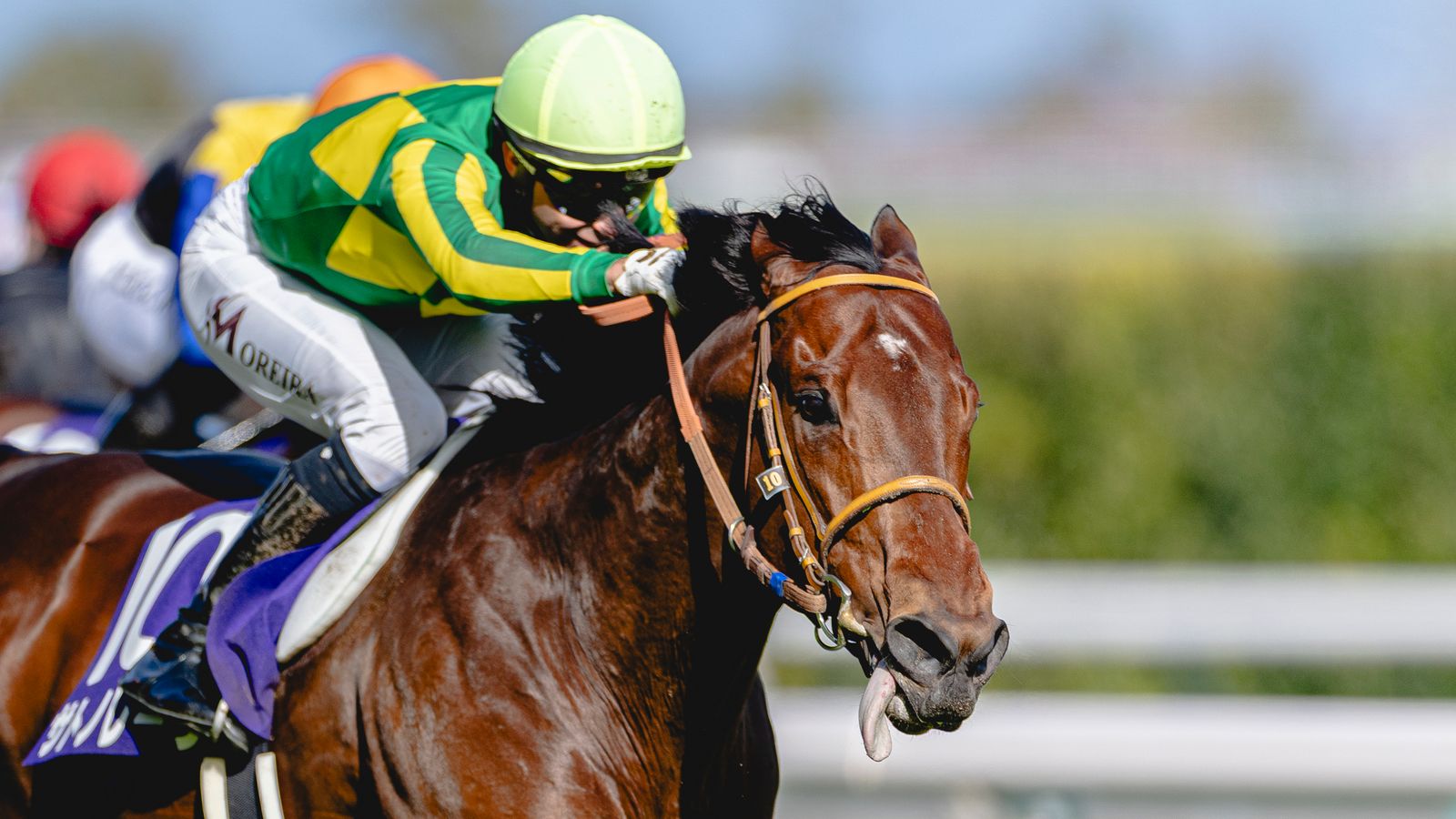 Royal Ascot tips: Satono Reve fancied to land Queen Elizabeth II Jubilee Stakes crown for Japan