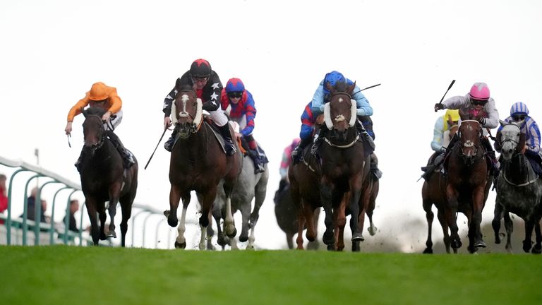 Brighton hosts today's live racing