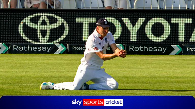 Cricket 